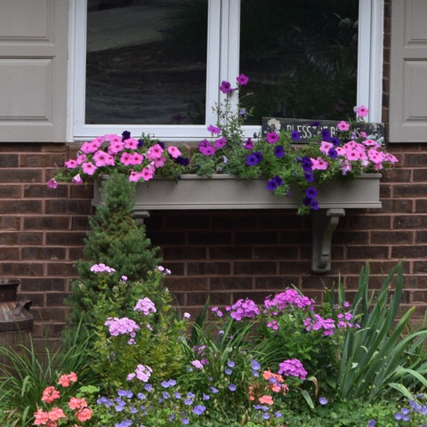 Window Boxes